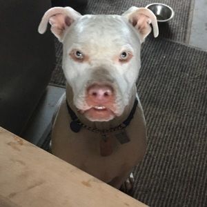 Meet your Posher, Aaron